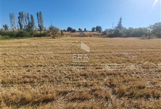 DERBENT ÇİFTLİKÖZÜ SATILIK 464 M2 TARLA