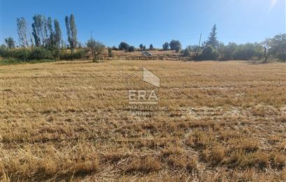 DERBENT ÇİFTLİKÖZÜ SATILIK 464 M2 TARLA