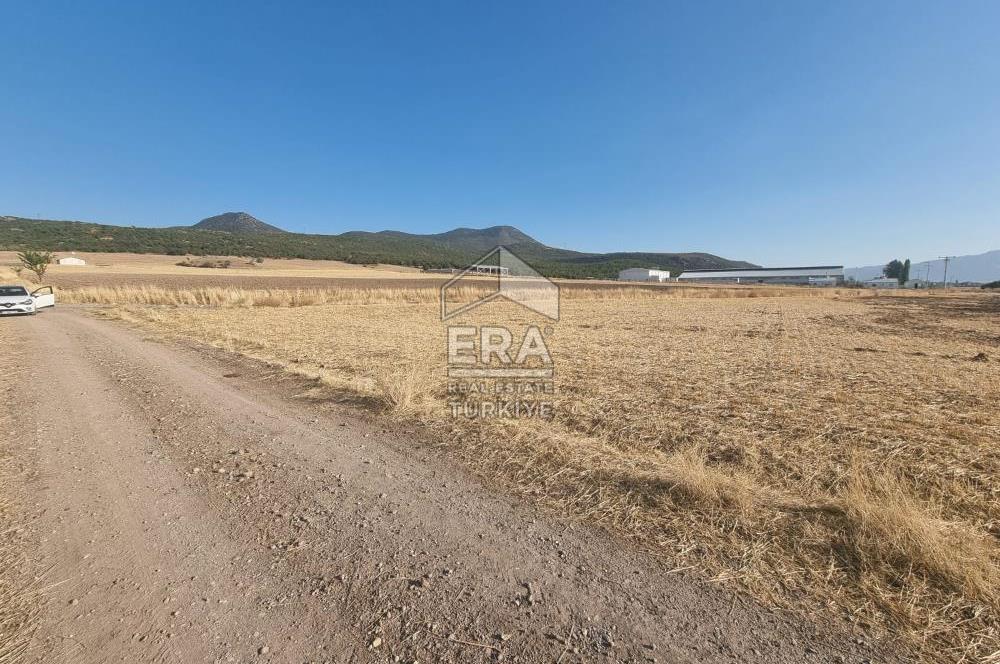 GEVREKLİ'DE SATILIK 796 M2 TARLA