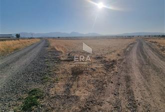 GEVREKLİ'DE SATILIK 796 M2 TARLA