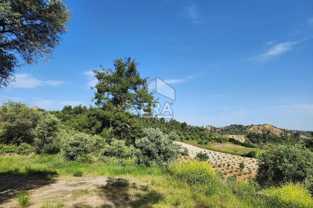 Çıkrıkçı köyüne 3 dakika mesafede 3.700m2 satılık bahçe