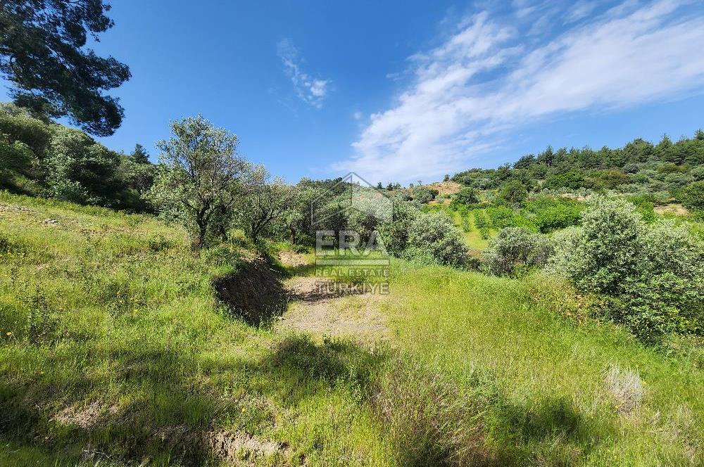 Çıkrıkçı köyüne 3 dakika mesafede 3.700m2 satılık bahçe