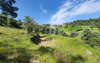 Çıkrıkçı köyüne 3 dakika mesafede 3.700m2 satılık bahçe