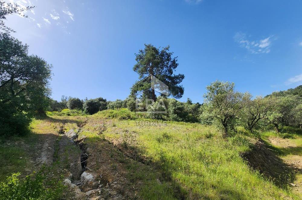 Çıkrıkçı köyüne 3 dakika mesafede 3.700m2 satılık bahçe