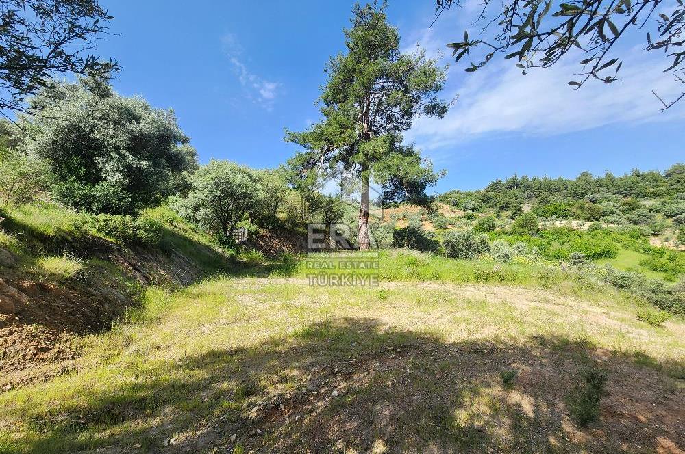 Çıkrıkçı köyüne 3 dakika mesafede 3.700m2 satılık bahçe