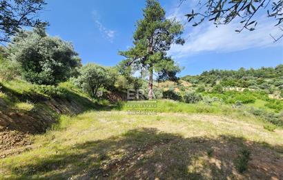 Çıkrıkçı köyüne 3 dakika mesafede 3.700m2 satılık bahçe