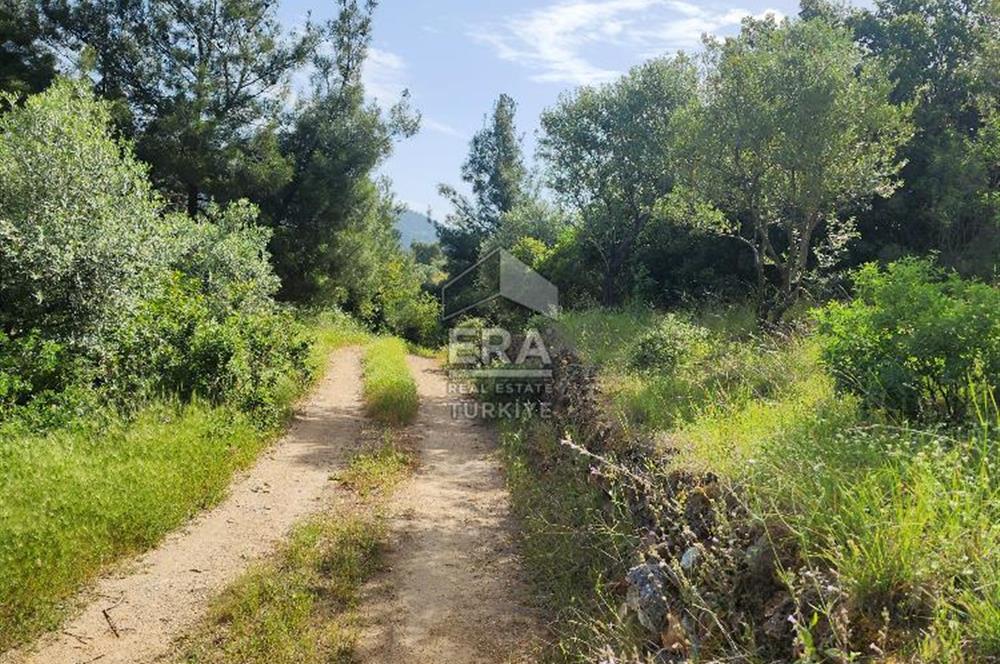 Çıkrıkçı köyüne 3 dakika mesafede 3.700m2 satılık bahçe