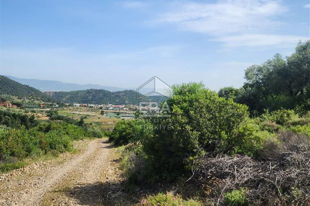 Çıkrıkçı köyüne 3 dakika mesafede 3.700m2 satılık bahçe