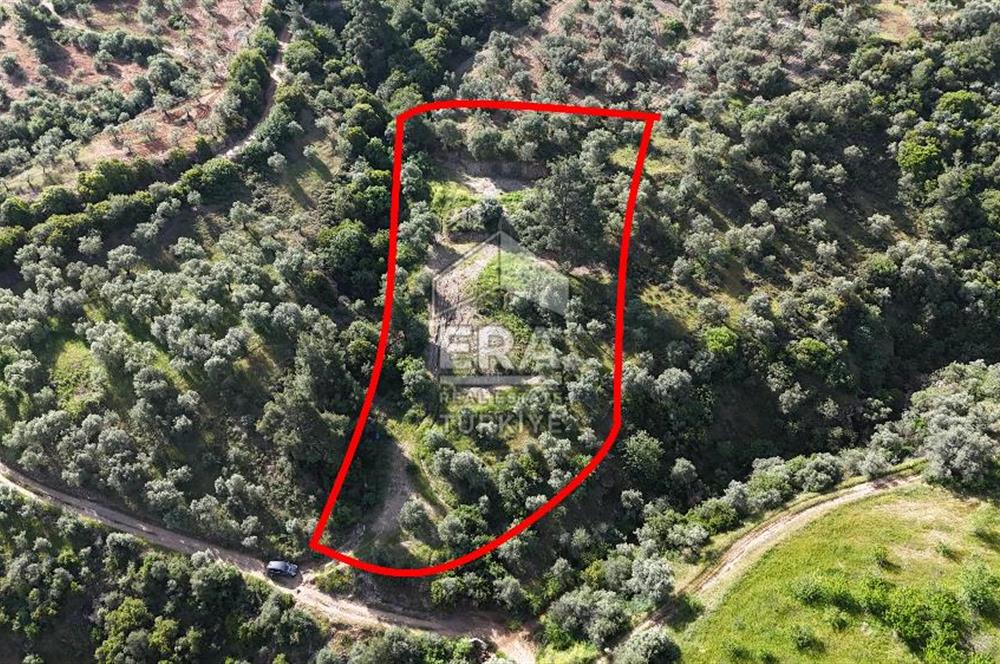 Çıkrıkçı köyüne 3 dakika mesafede 3.700m2 satılık bahçe