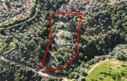 Çıkrıkçı köyüne 3 dakika mesafede 3.700m2 satılık bahçe