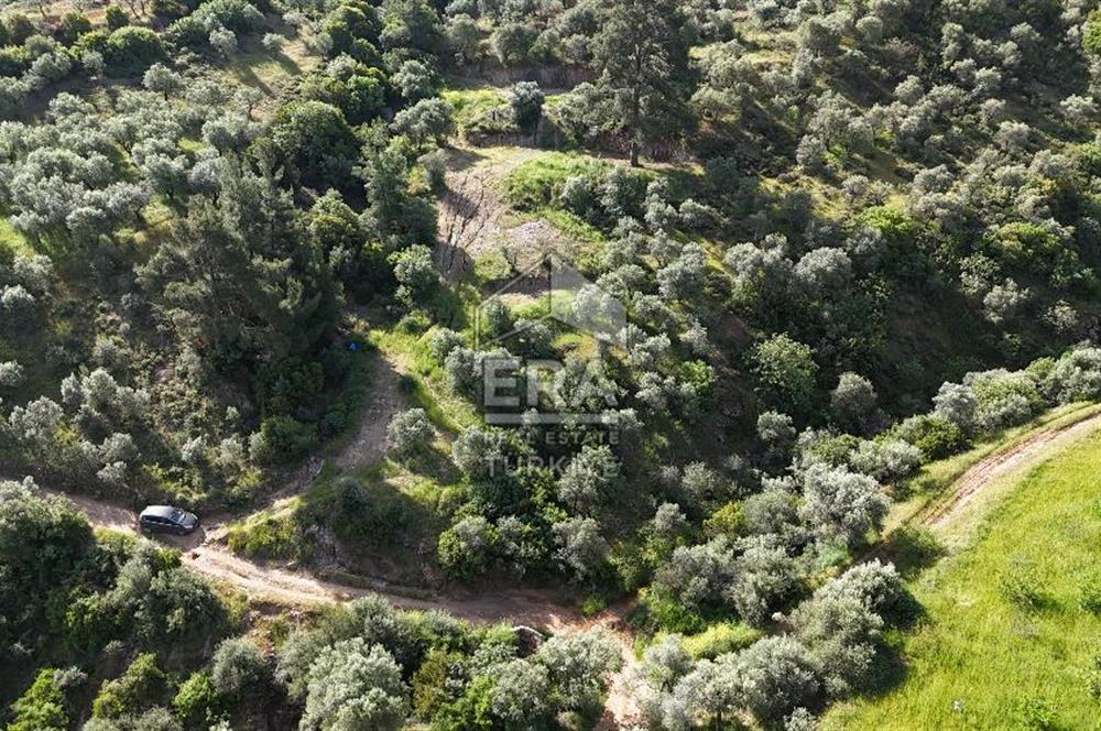 Çıkrıkçı köyüne 3 dakika mesafede 3.700m2 satılık bahçe