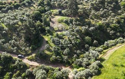 Çıkrıkçı köyüne 3 dakika mesafede 3.700m2 satılık bahçe