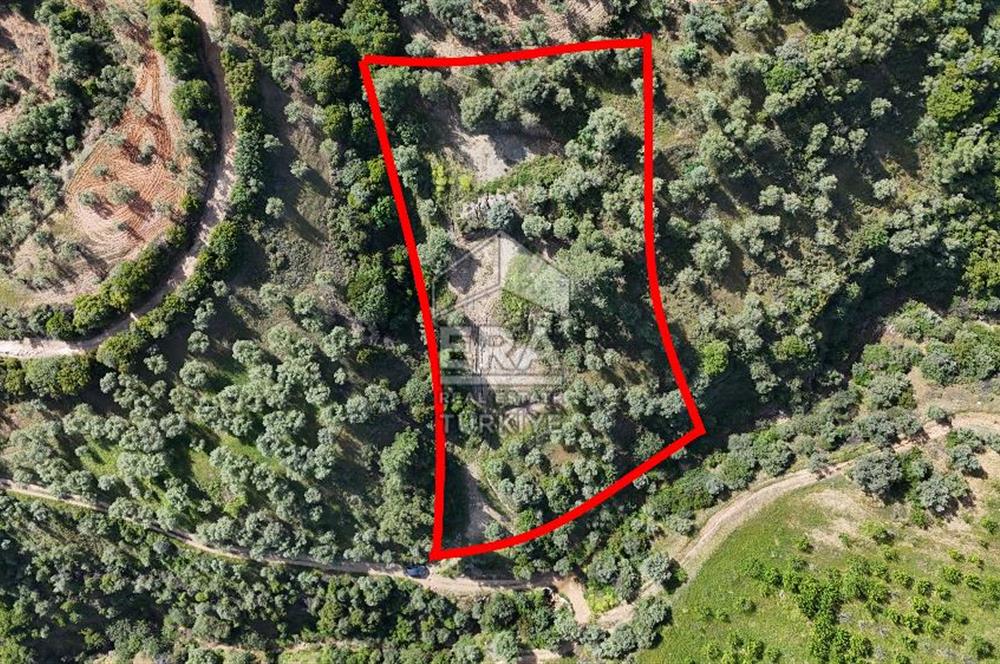 Çıkrıkçı köyüne 3 dakika mesafede 3.700m2 satılık bahçe