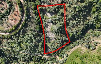 Çıkrıkçı köyüne 3 dakika mesafede 3.700m2 satılık bahçe