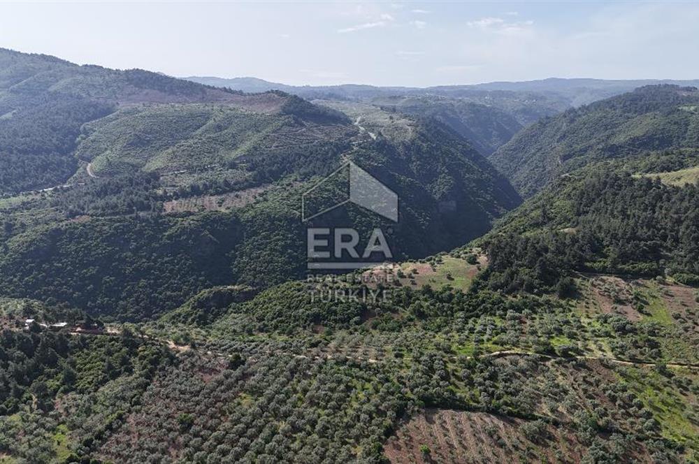 Çıkrıkçı köyüne 3 dakika mesafede 3.700m2 satılık bahçe