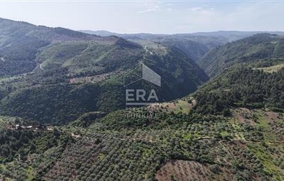 Çıkrıkçı köyüne 3 dakika mesafede 3.700m2 satılık bahçe