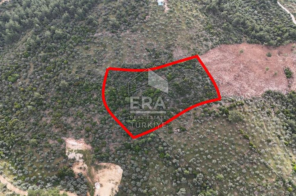 MUHTEŞEM MANZARALI BAHÇE 7307 M2