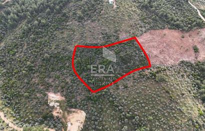 MUHTEŞEM MANZARALI BAHÇE 7307 M2