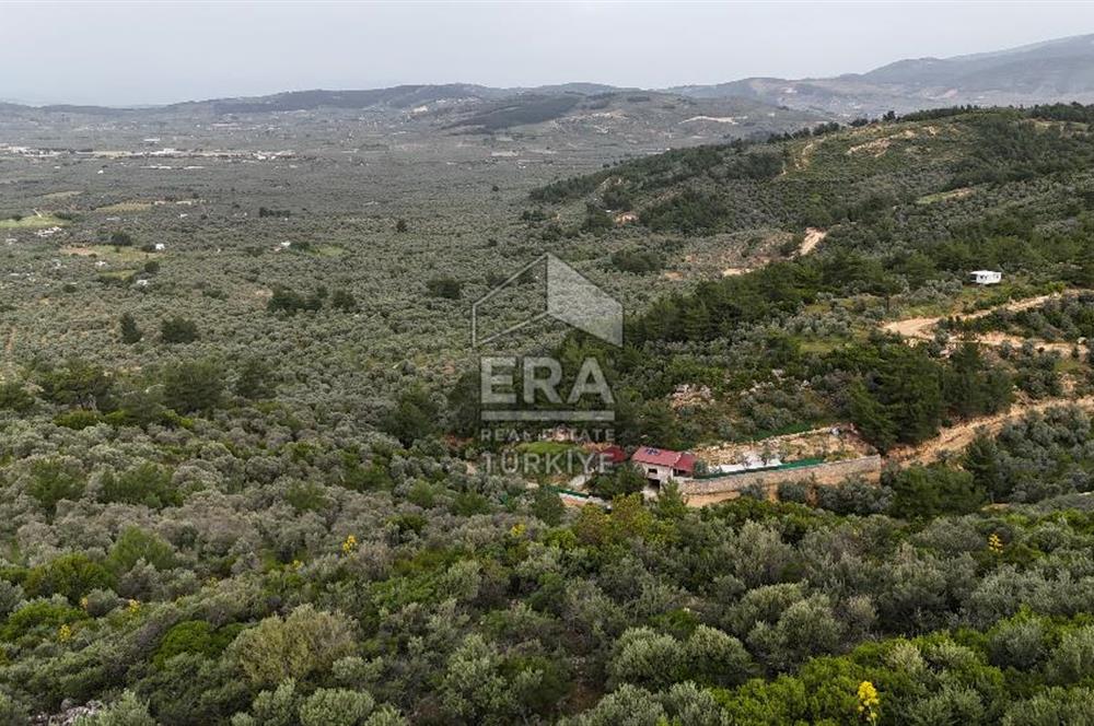 MUHTEŞEM MANZARALI BAHÇE 7307 M2