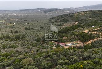 MUHTEŞEM MANZARALI BAHÇE 7307 M2