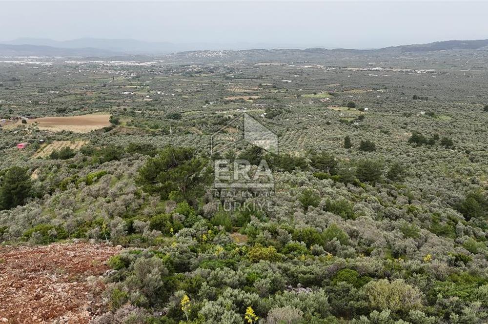 MUHTEŞEM MANZARALI BAHÇE 7307 M2