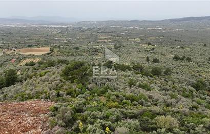 MUHTEŞEM MANZARALI BAHÇE 7307 M2