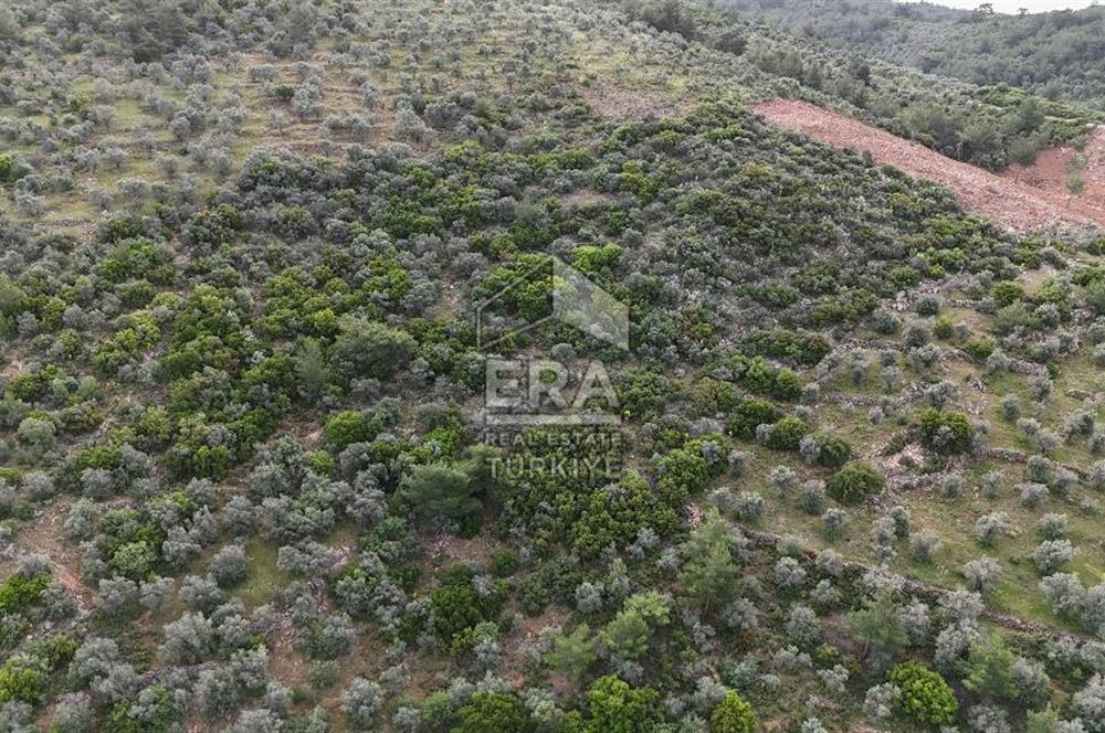 MUHTEŞEM MANZARALI BAHÇE 7307 M2