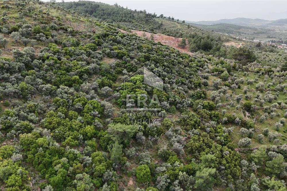 MUHTEŞEM MANZARALI BAHÇE 7307 M2
