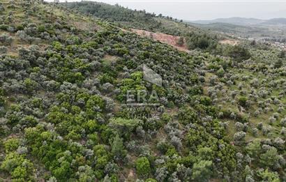 MUHTEŞEM MANZARALI BAHÇE 7307 M2
