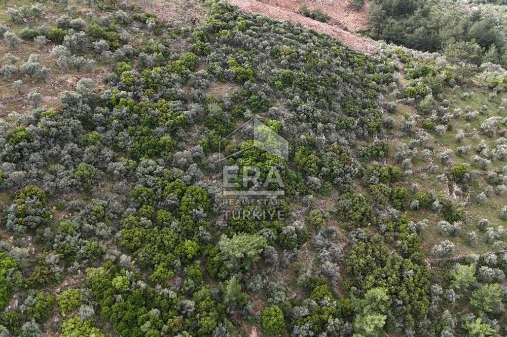 MUHTEŞEM MANZARALI BAHÇE 7307 M2