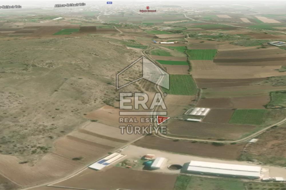 ERA PORT GÜVENCESİYLE BALIKESİR PAMUKÇU DA 408m² TARLA