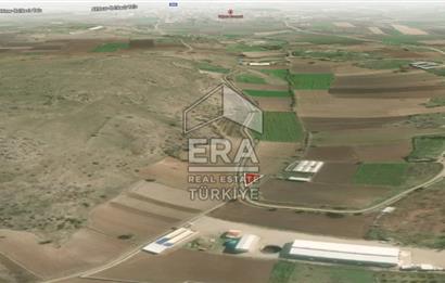 ERA PORT GÜVENCESİYLE BALIKESİR PAMUKÇU DA 408m² TARLA