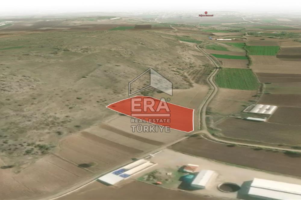 ERA PORT GÜVENCESİYLE BALIKESİR PAMUKÇU DA 6921m² TARLA