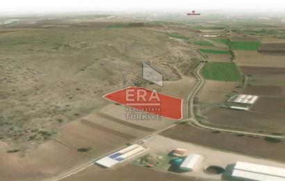 ERA PORT GÜVENCESİYLE BALIKESİR PAMUKÇU DA 6921m² TARLA