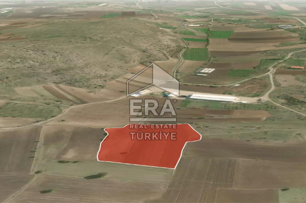 ERA PORT GÜVENCESİYLE BALIKESİR PAMUKÇU DA 15744m² TARLA