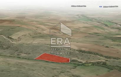 ERA PORT GÜVENCESİYLE BALIKESİR PAMUKÇU DA TOPLAM 9000m² 2 TARLA