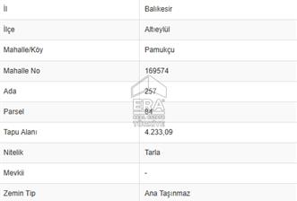 ERA PORT GÜVENCESİYLE BALIKESİR PAMUKÇU DA TOPLAM 9000m² 2 TARLA