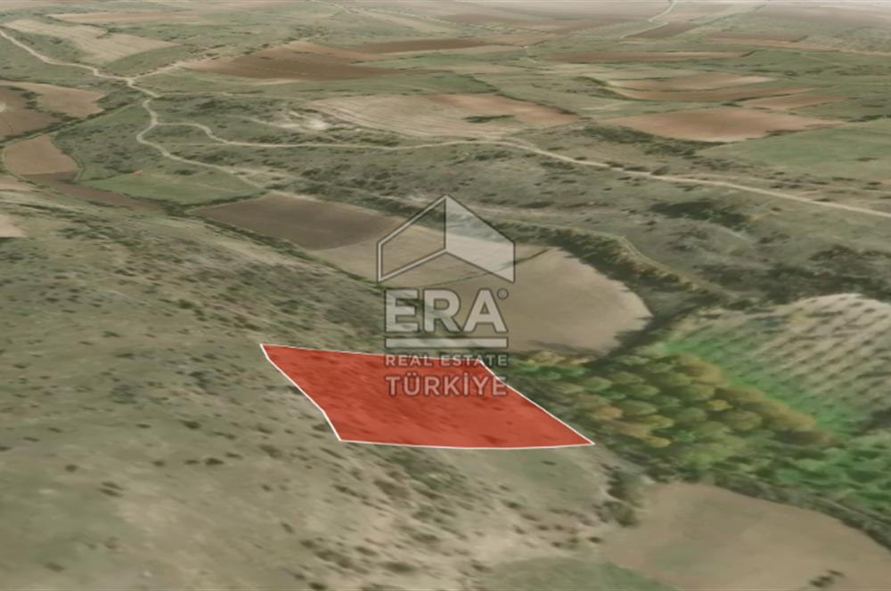 ERA PORT GÜVENCESİYLE BALIKESİR PAMUKÇU DA TOPLAM 9000m² 2 TARLA