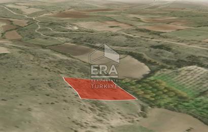 ERA PORT GÜVENCESİYLE BALIKESİR PAMUKÇU DA TOPLAM 9000m² 2 TARLA