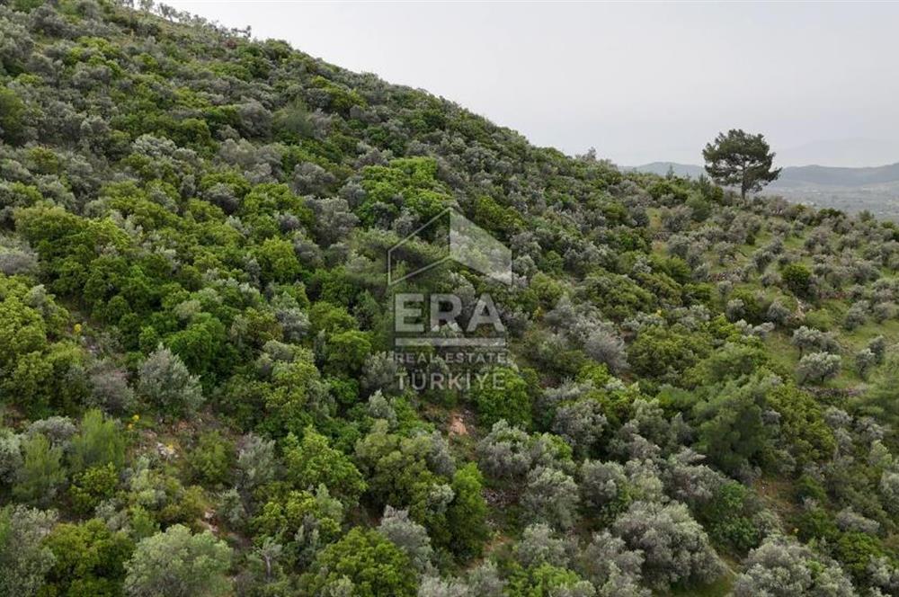 MUHTEŞEM MANZARALI BAHÇE 7307 M2