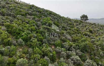 MUHTEŞEM MANZARALI BAHÇE 7307 M2