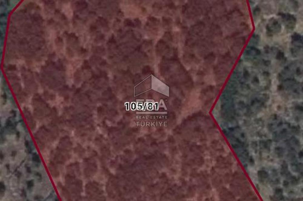 MUHTEŞEM MANZARALI BAHÇE 7307 M2