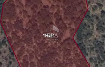 MUHTEŞEM MANZARALI BAHÇE 7307 M2
