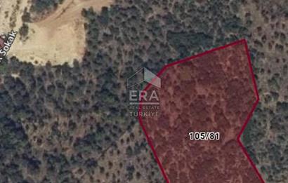 MUHTEŞEM MANZARALI BAHÇE 7307 M2