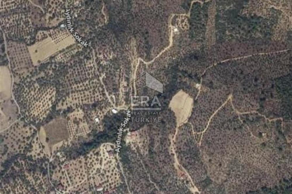 MUHTEŞEM MANZARALI BAHÇE 7307 M2