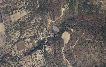 MUHTEŞEM MANZARALI BAHÇE 7307 M2