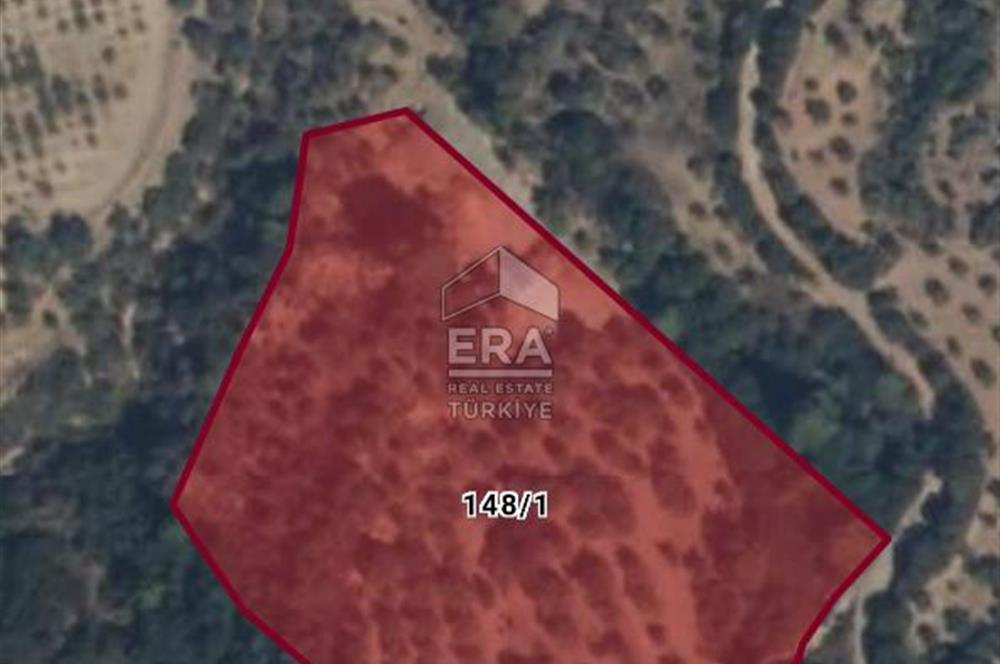 Çıkrıkçı köyüne 3 dakika mesafede 3.700m2 satılık bahçe
