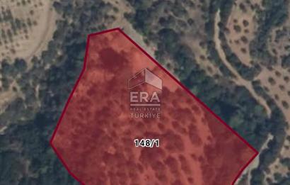 Çıkrıkçı köyüne 3 dakika mesafede 3.700m2 satılık bahçe