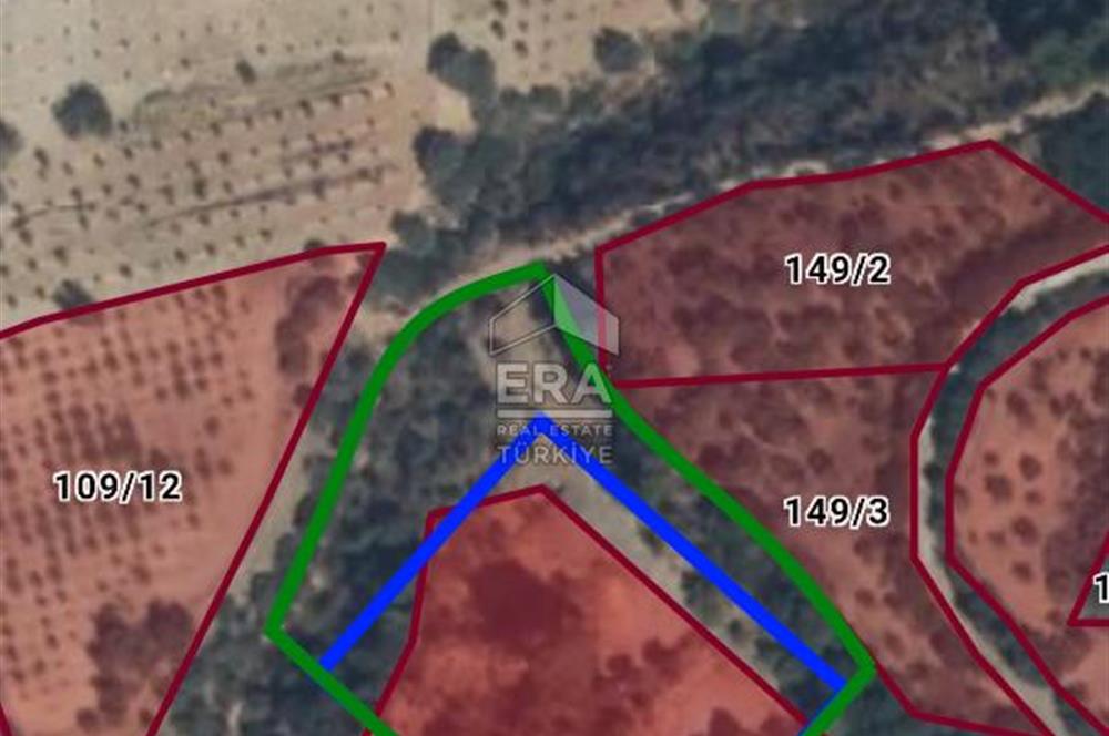 Çıkrıkçı köyüne 3 dakika mesafede 3.700m2 satılık bahçe