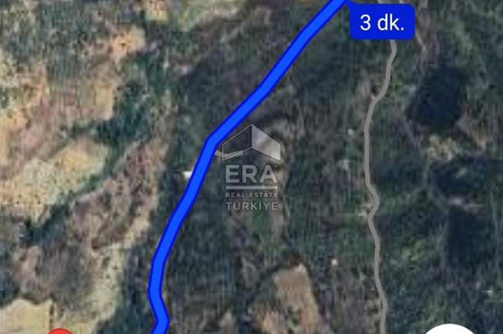 Çıkrıkçı köyüne 3 dakika mesafede 3.700m2 satılık bahçe